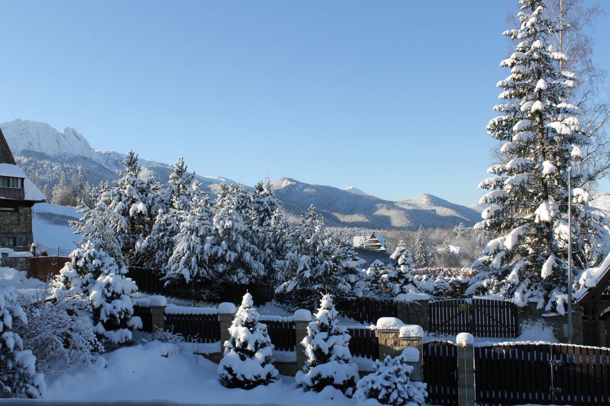 Domki Wisienka Zakopane Exterior foto